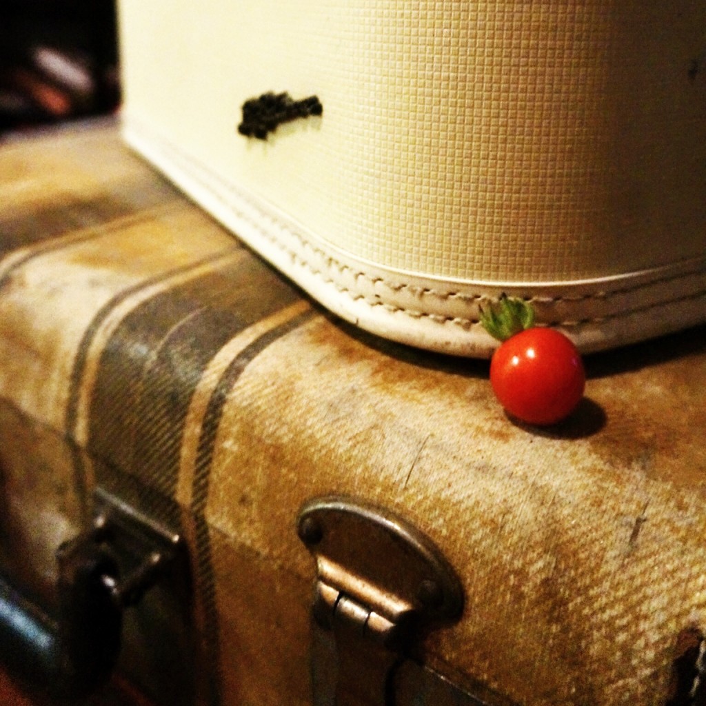 Heirloom Tomato + Vintage Suitcases