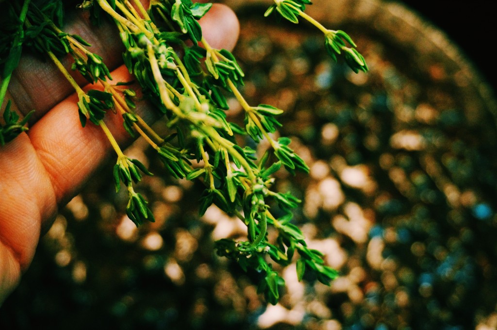 Add fresh thyme right at the very end so that the flavor doesn't get lost