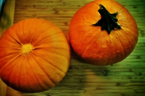 Sugar pumpkins, not Jack O'Lantern pumpkins