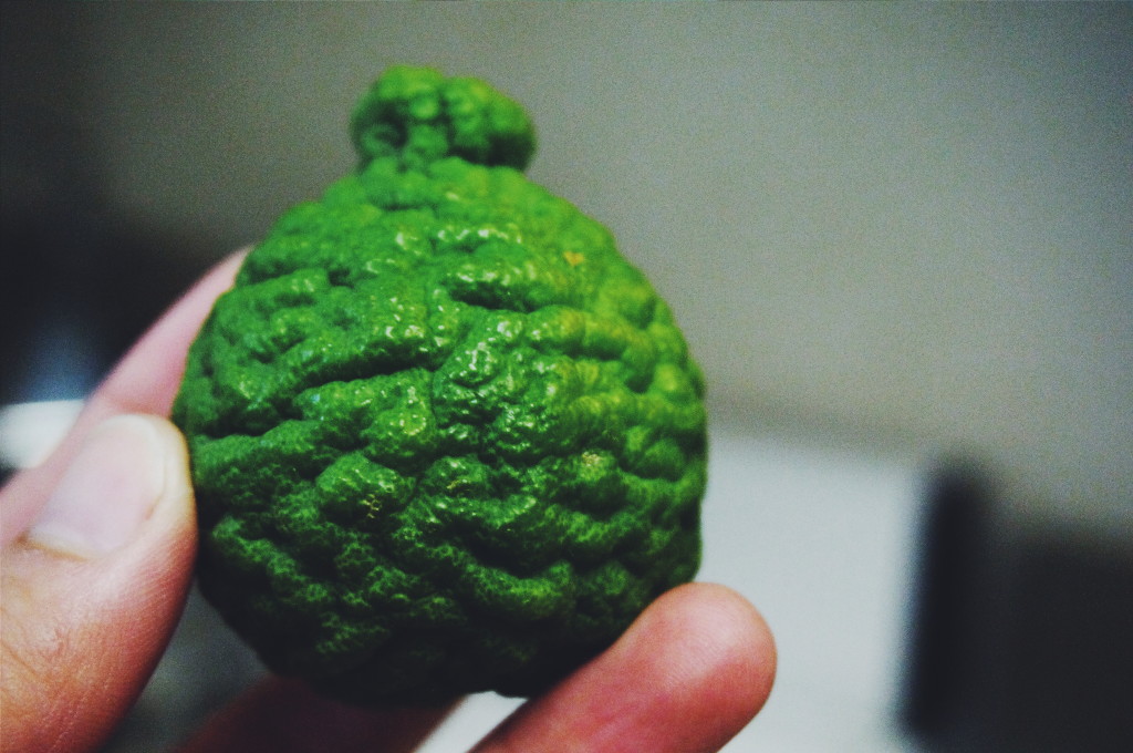 A Kaffir Lime - Suitcase Foodist