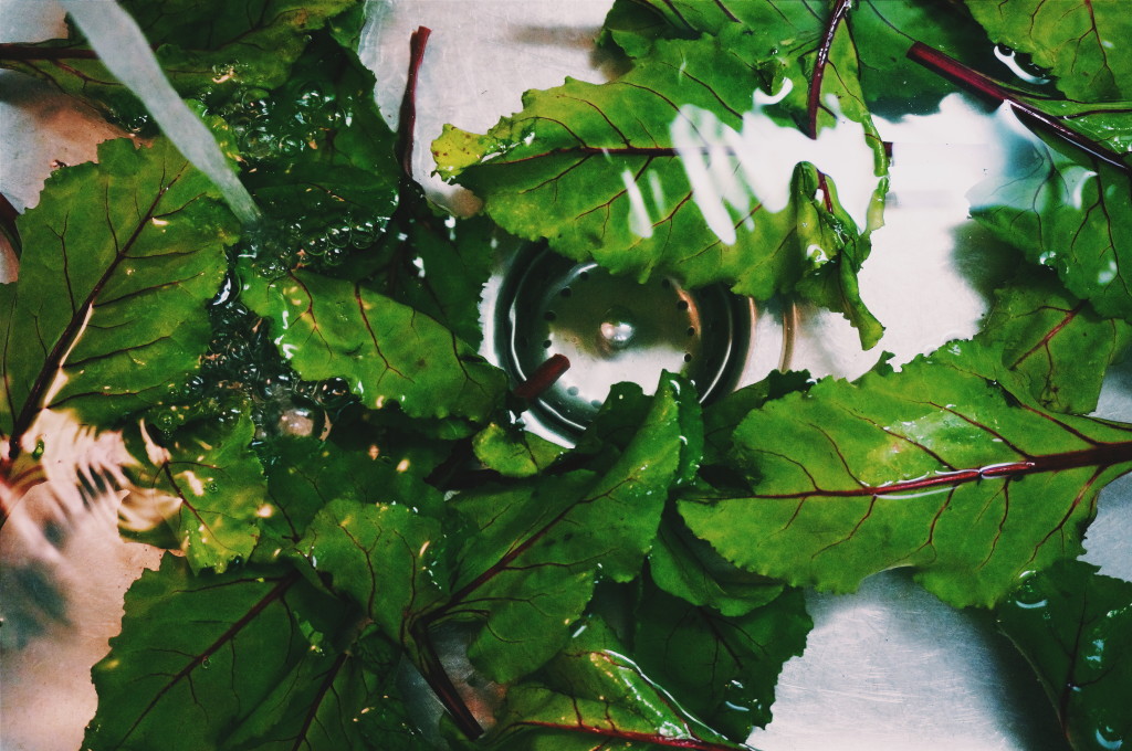 Rinsing greens by Suitcase Foodist