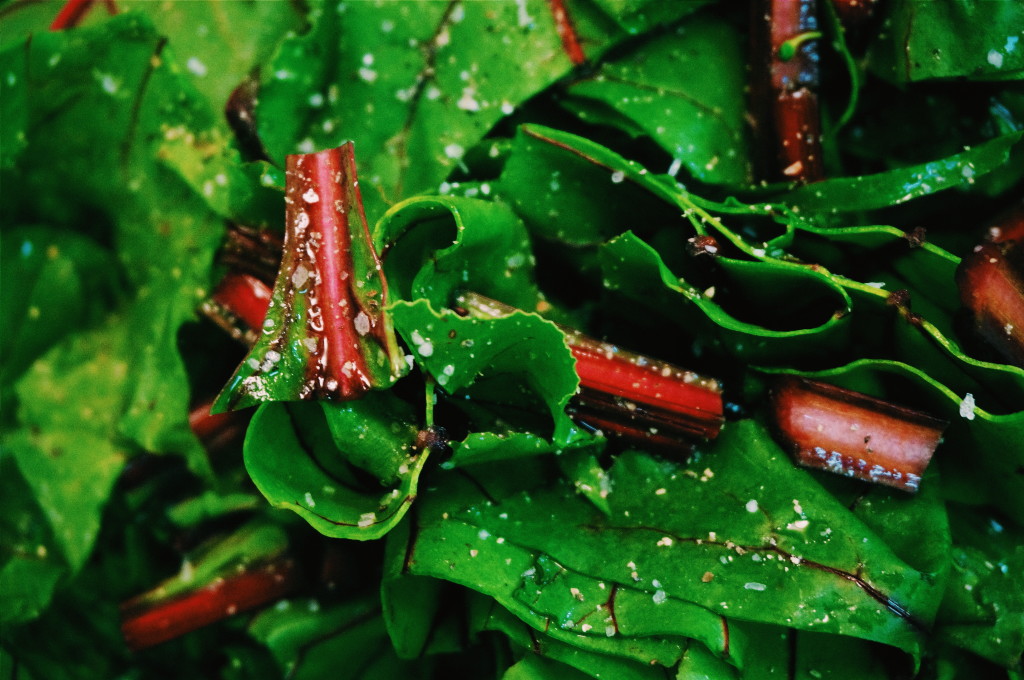 Beet Greens and Salt by Suitcase Foodist