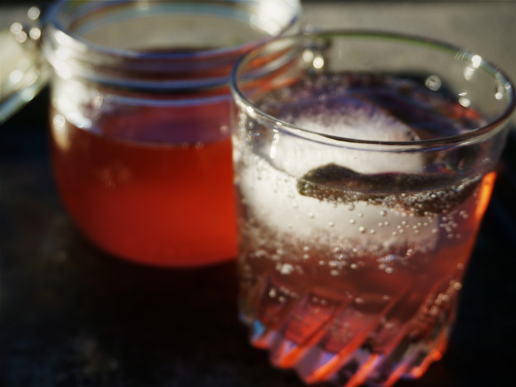 Gin Rhubarb Cocktail by Suitcase Foodist