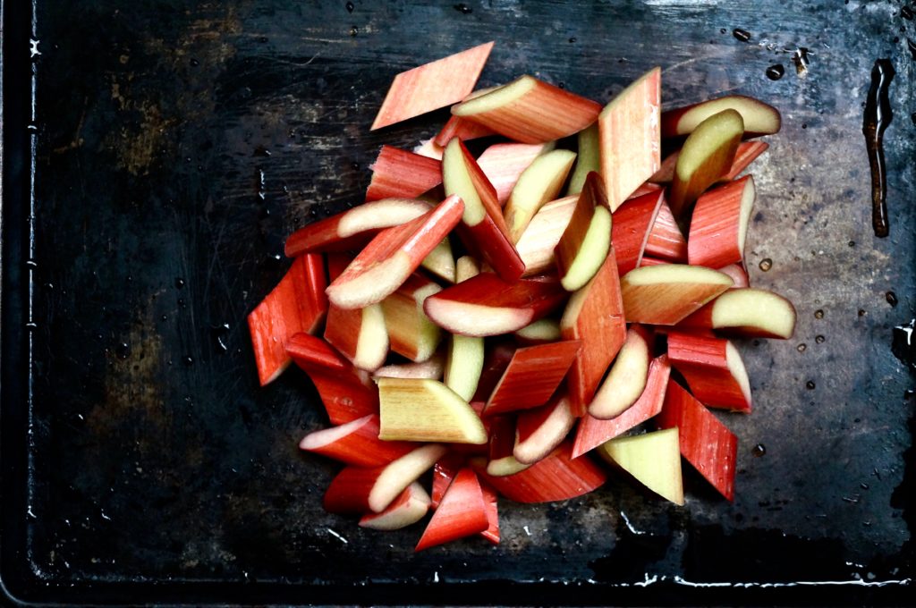 Chocolate Rhubarb Pavlova | Suitcase Foodist