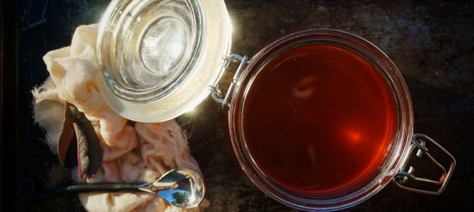 Rhubarb Shrub for Cocktails & Homemade Soda