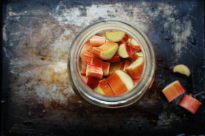 Rhubarb Shrub by Suitcase Foodist